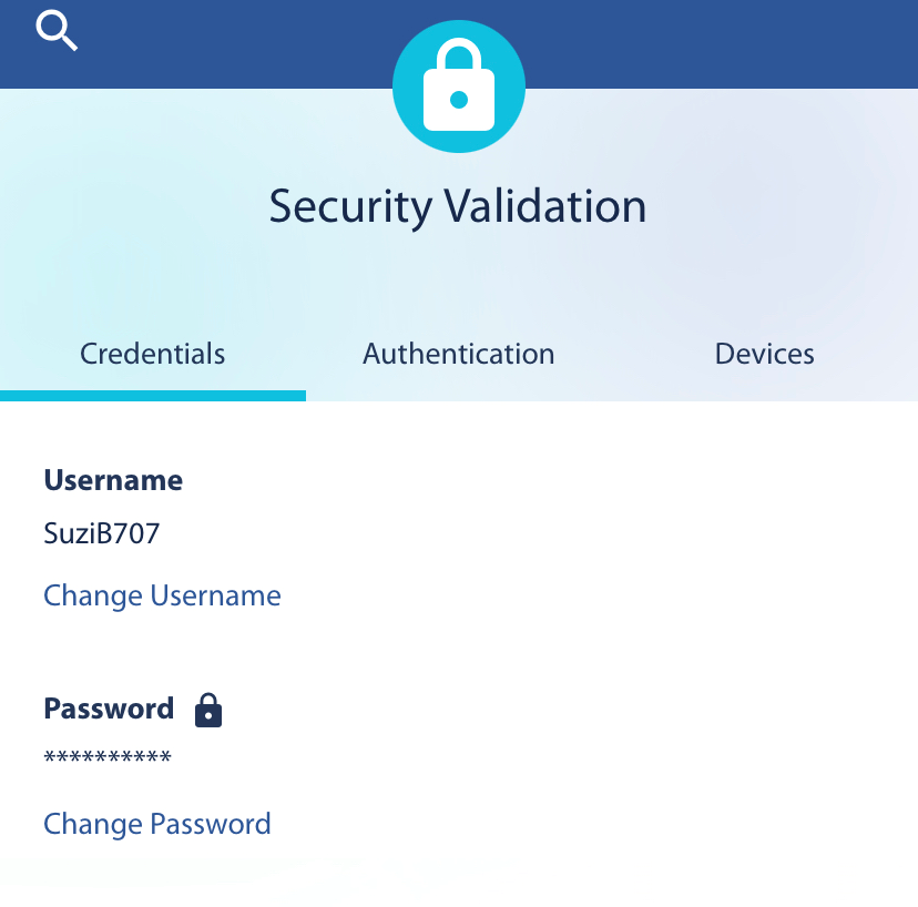 Credentials tab, mobile view, Safety and privacy, Digital Banking